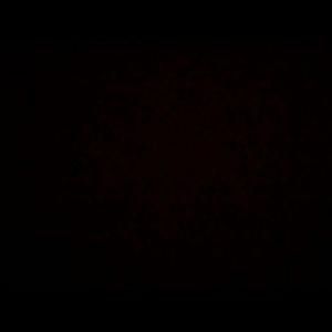 Meet your Posher, Gracie